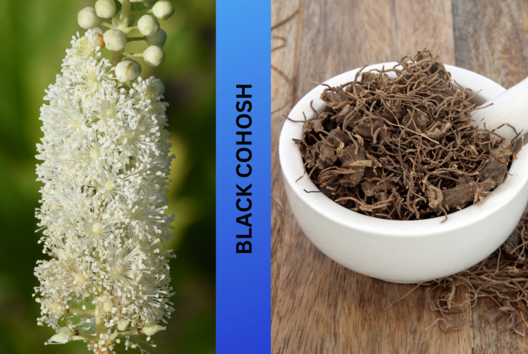 Black-Cohosh